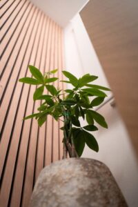 Bullez, centre de massages