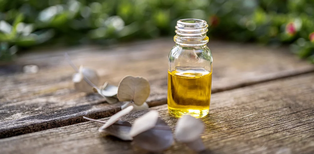 Huile essentielle d'eucalyptus radié