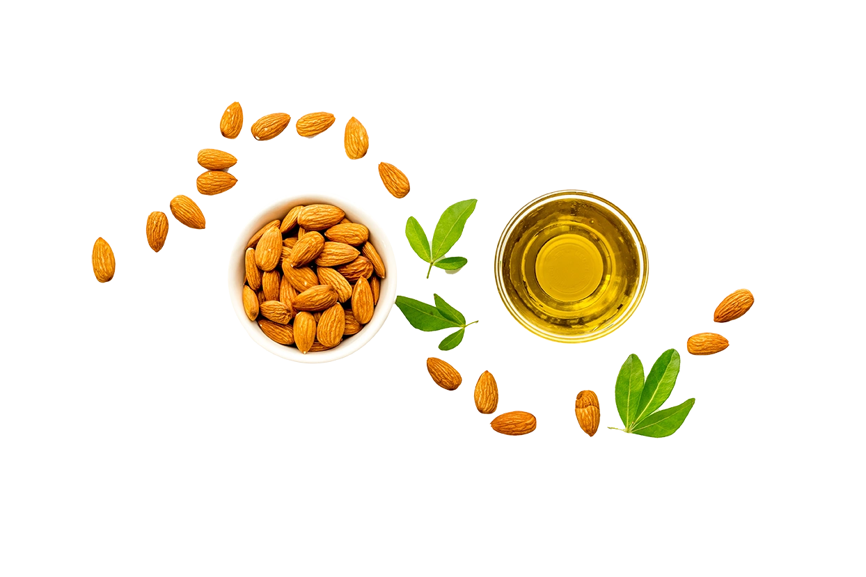 Huile végétale d'amande douce