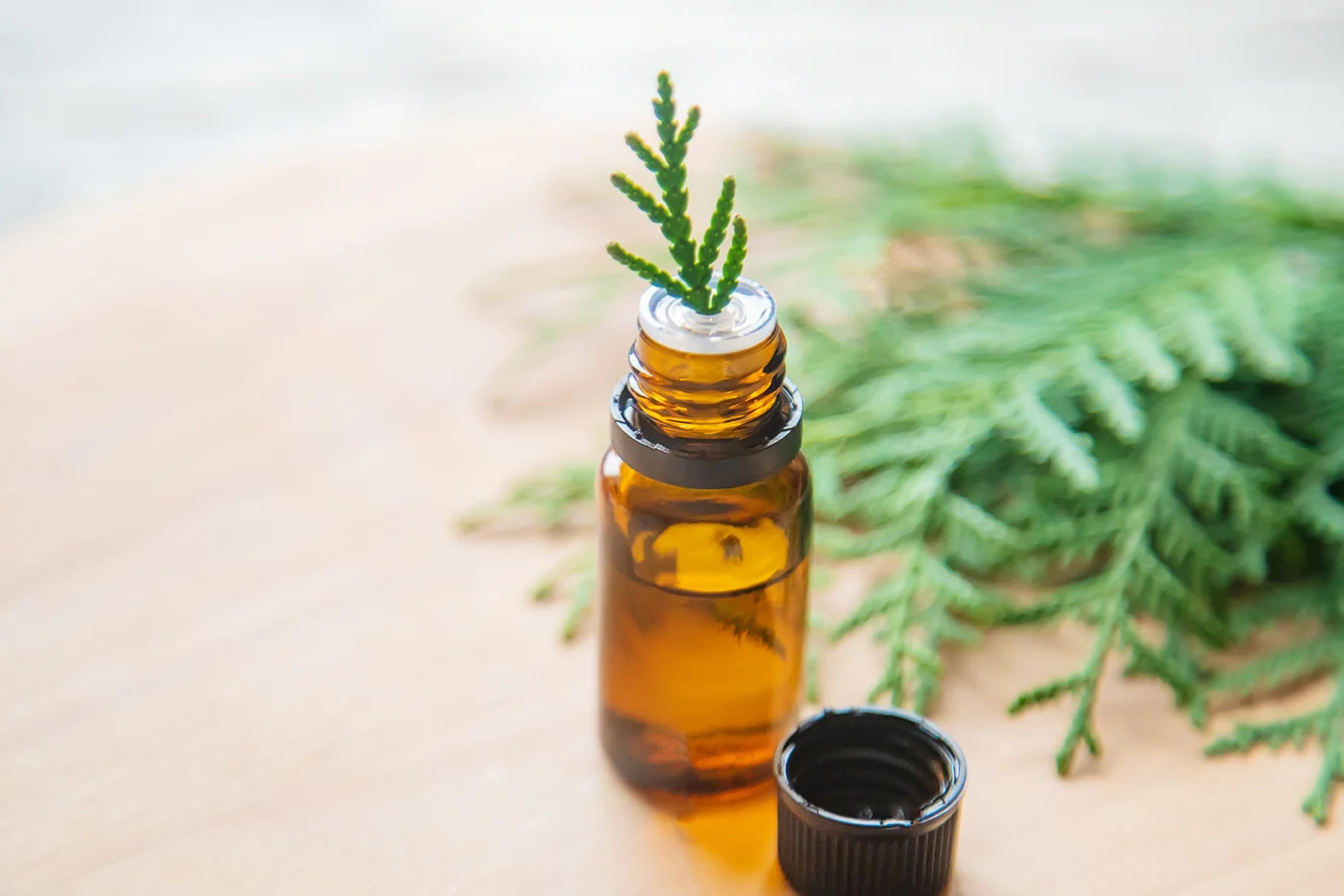 Huile essentielle cyprès