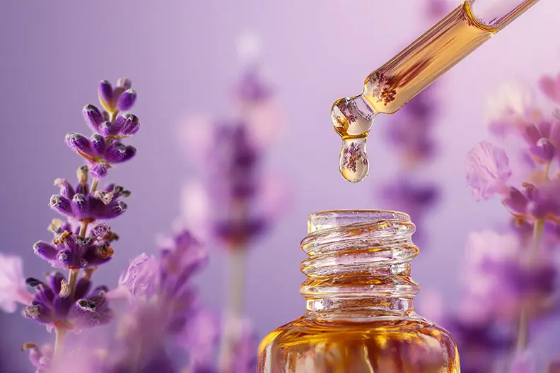 Huile essentielle lavande vraie