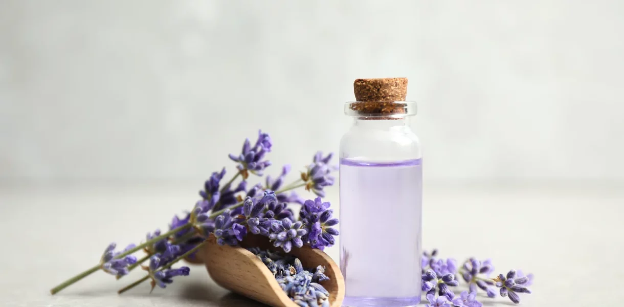 Huile essentielle lavandin