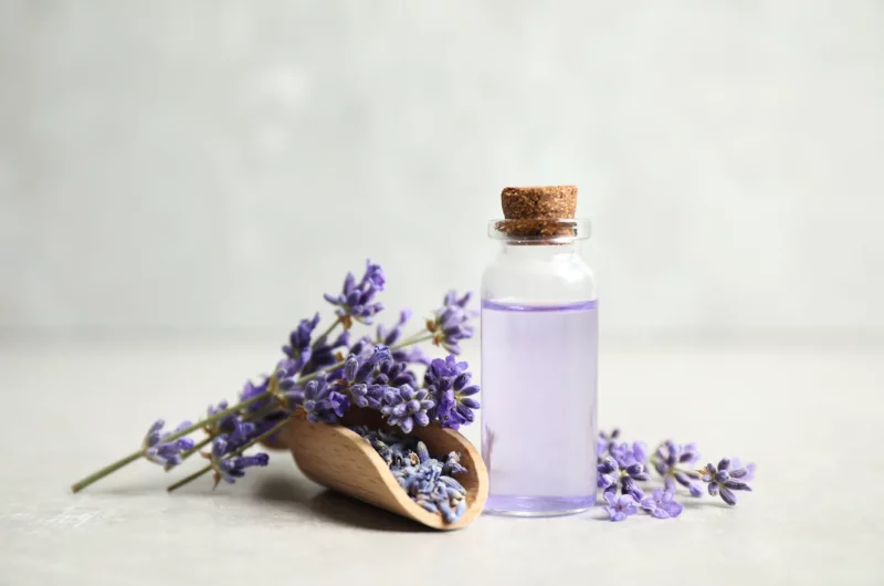 Huile essentielle lavandin
