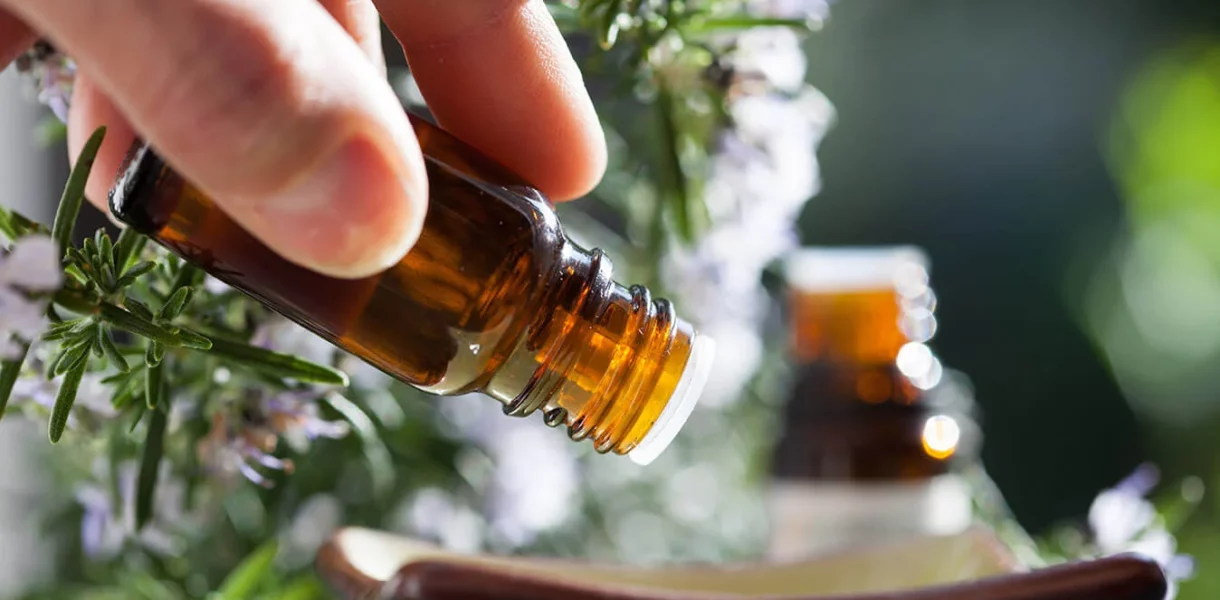 Huile essentielle de Niaouli