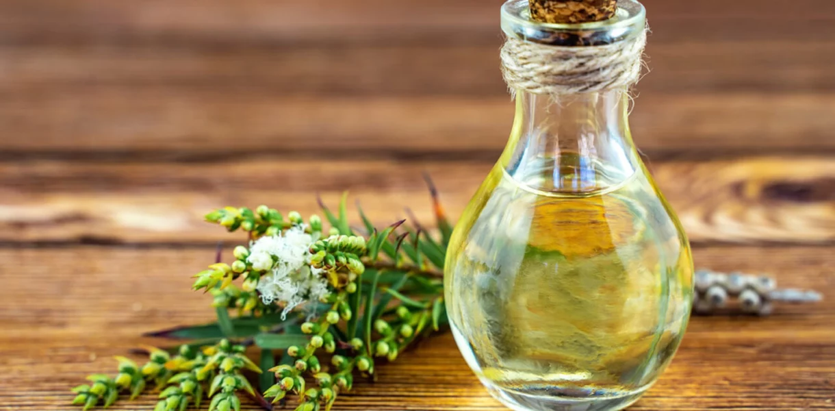 Huile essentielle de tea tree