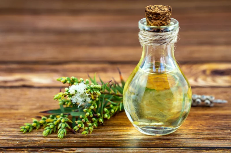 Huile essentielle de tea tree