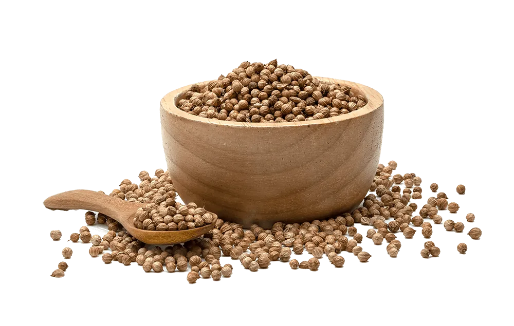 Huile essentielle de coriandre