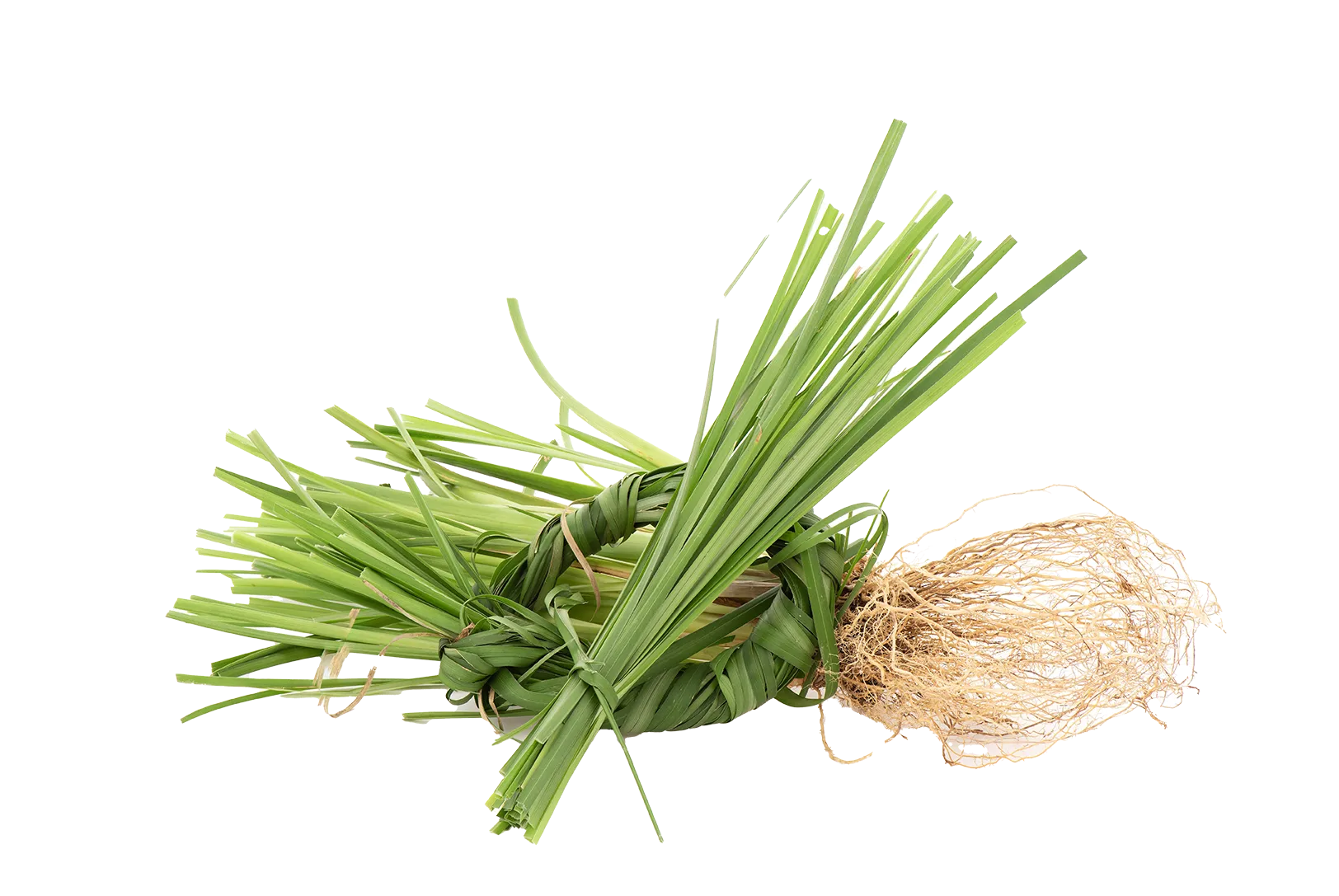 Huile essentielle de vétiver d'Haïti