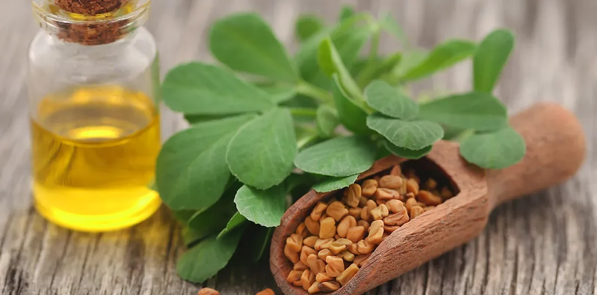 Huile végétale d'ambre