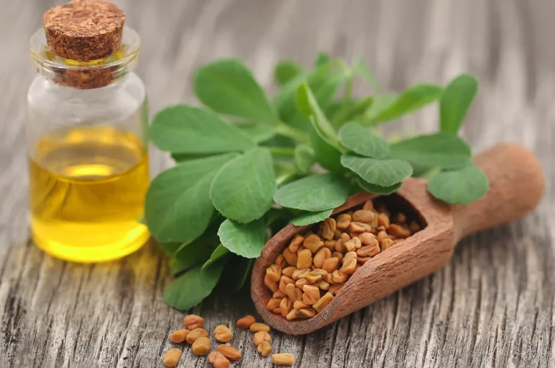 Huile végétale d'ambre