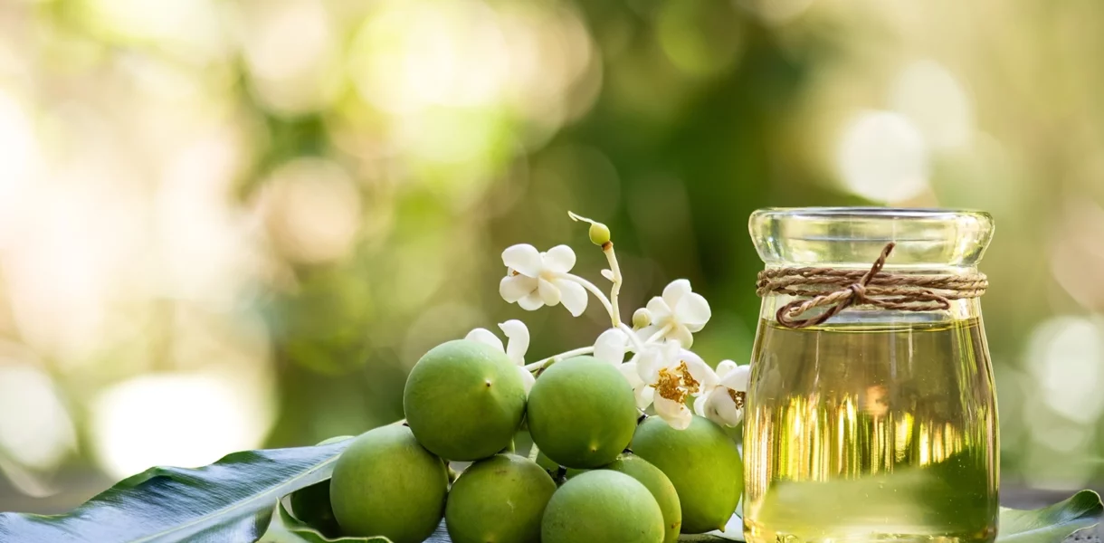Huile végétale de Calophylle