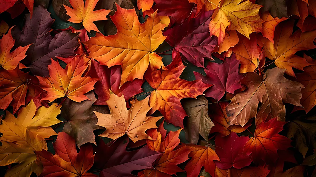 Pourquoi faire un massage en automne