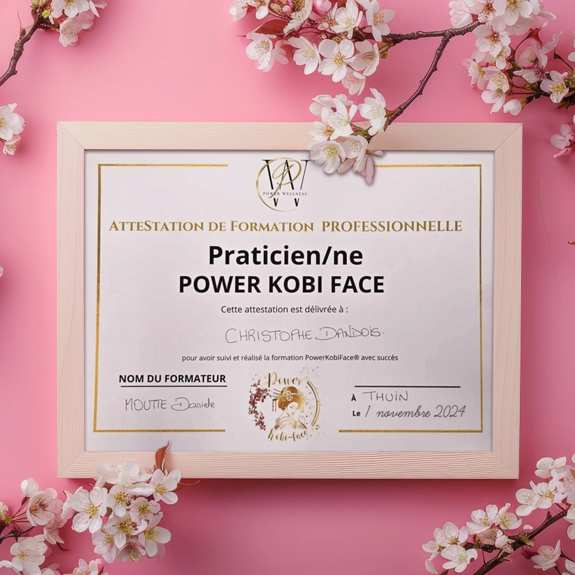 Certification praticien Power Kobi Face®