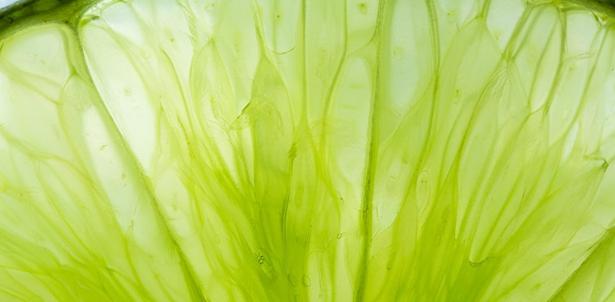 Huile essentielle de citron vert — zeste de lime en macro, Bullez à Thuin près de Charleroi