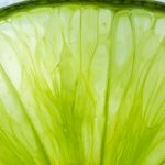 Huile essentielle de citron vert — zeste de lime en macro, Bullez à Thuin près de Charleroi