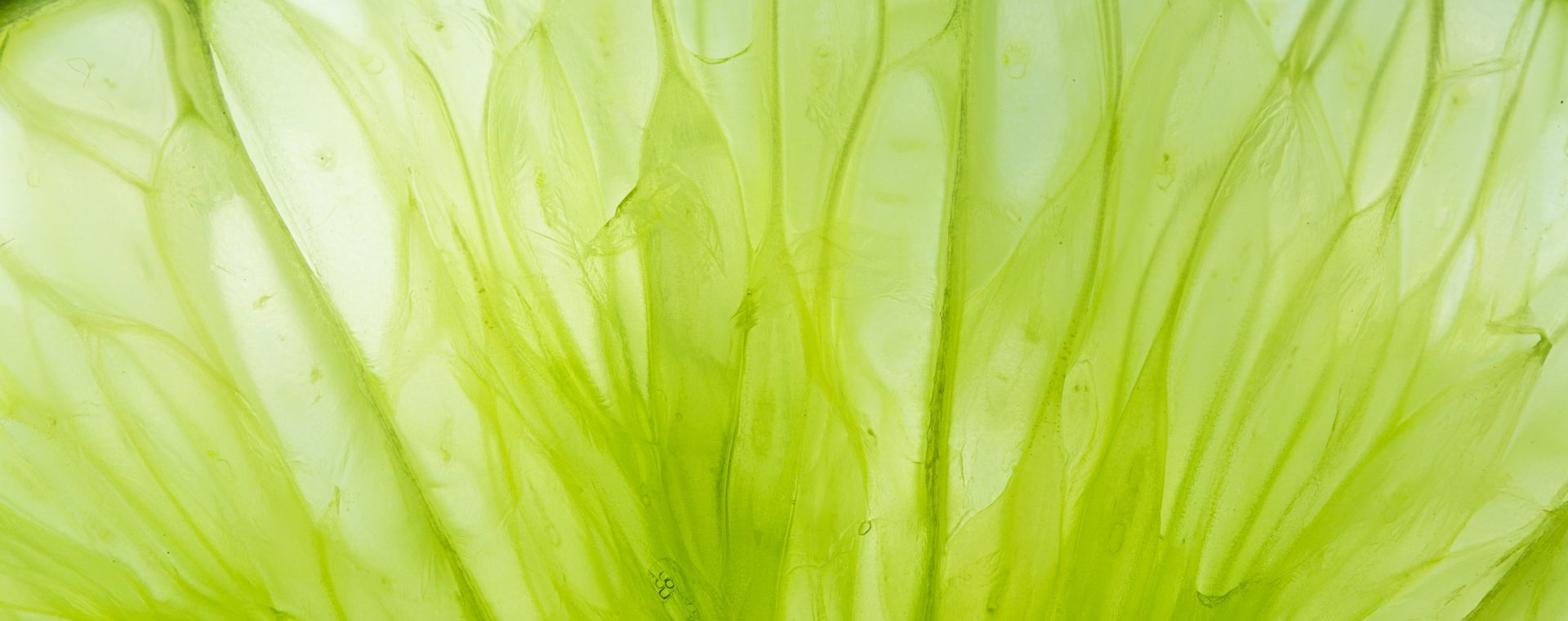 Huile essentielle de citron vert — zeste de lime en macro, Bullez à Thuin près de Charleroi