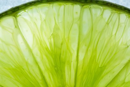 Huile essentielle de citron vert — zeste de lime en macro, Bullez à Thuin près de Charleroi