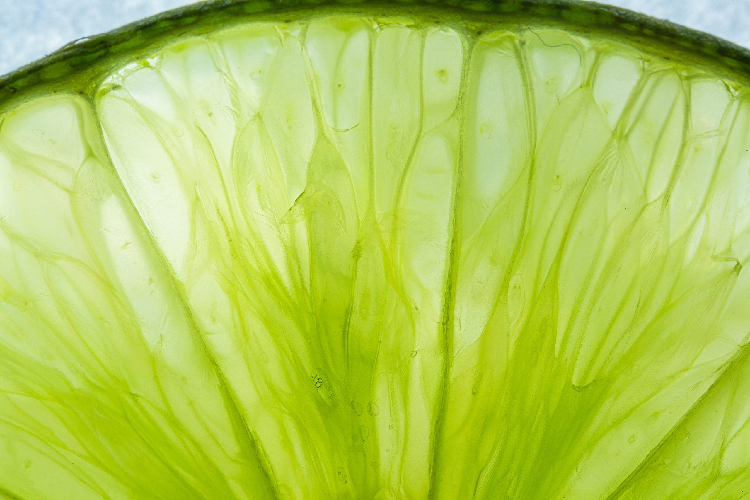 Huile essentielle de citron vert — zeste de lime en macro, Bullez à Thuin près de Charleroi