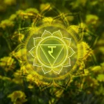 chakra plexus solaire : mandala jaune Manipura, symbole de confiance en soi — Pulse Harmony Bullez Thuin
