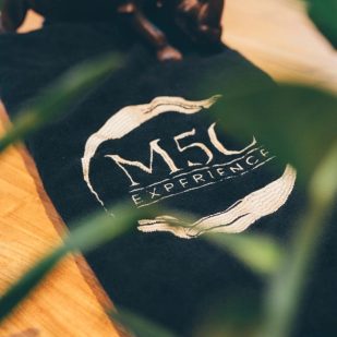 Massage des 5 continents,