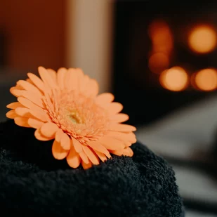 Massage en duo à Thuin près de Charleroi